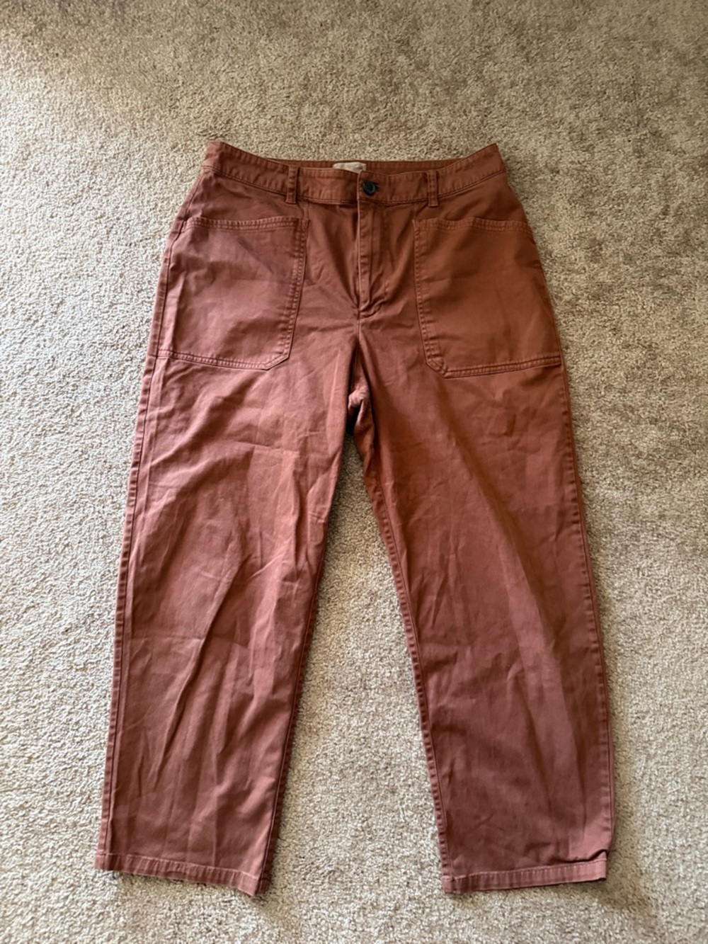Universal Thread Men's Cargo Pants in Rust Brown